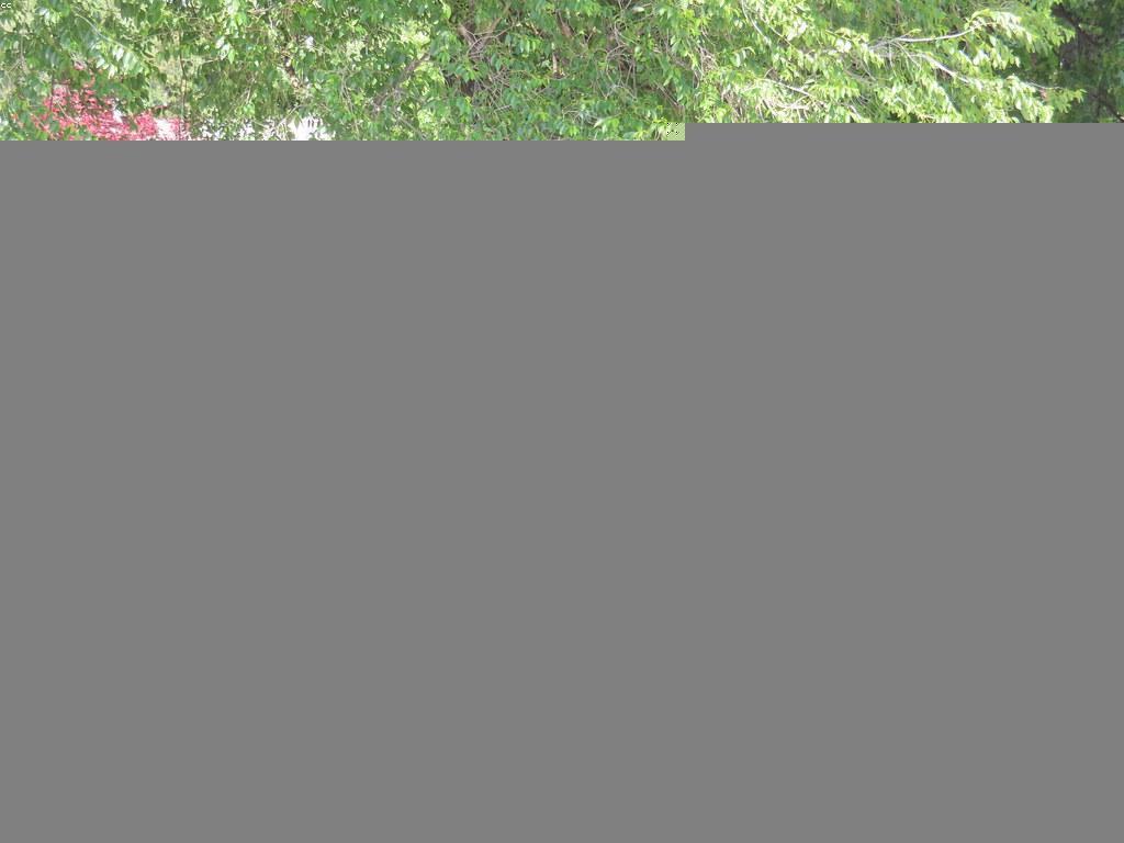 សារៈសំខាន់នៃការពារសុវត្ថិភាពផ្ទាល់ខ្លួន